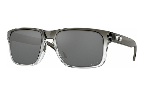 Γυαλιά ηλίου Oakley HOLBROOK (OO9102 9102O2)