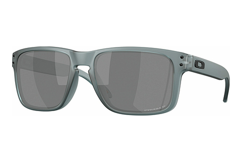 Γυαλιά ηλίου Oakley HOLBROOK (OO9102 9102Z4)