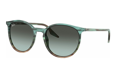 Γυαλιά ηλίου Ray-Ban RB2204 1394GK