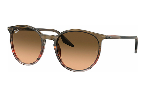 Γυαλιά ηλίου Ray-Ban RB2204 13953B