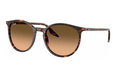 Γυαλιά ηλίου Ray-Ban RB2204 14293B