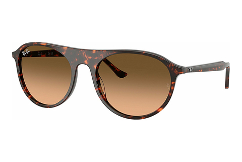 Γυαλιά ηλίου Ray-Ban RB2215 14293B