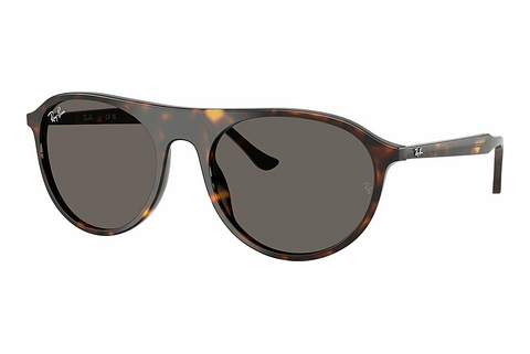 Γυαλιά ηλίου Ray-Ban RB2215 902/B1