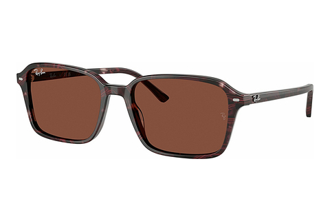 Γυαλιά ηλίου Ray-Ban RAIMOND (RB2231 1416C5)