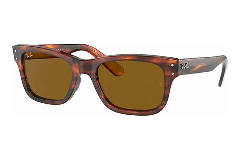 Γυαλιά ηλίου Ray-Ban MR BURBANK (RB2283 954/33)