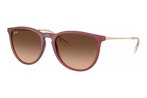 Γυαλιά ηλίου Ray-Ban ERIKA (RB4171 6815A5)