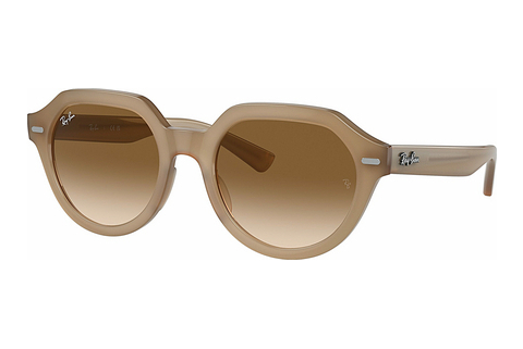 Γυαλιά ηλίου Ray-Ban GINA (RB4399 616651)