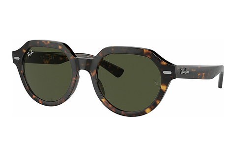 Γυαλιά ηλίου Ray-Ban GINA (RB4399 902/31)