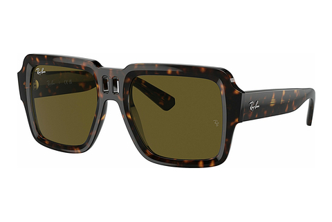 Γυαλιά ηλίου Ray-Ban MAGELLAN (RB4408 135973)