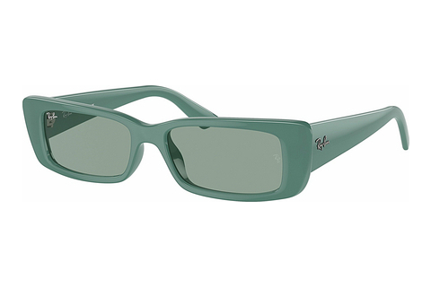 Γυαλιά ηλίου Ray-Ban TERU (RB4425 676282)