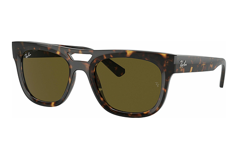 Γυαλιά ηλίου Ray-Ban PHIL (RB4426 135973)