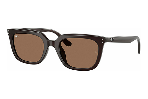 Γυαλιά ηλίου Ray-Ban RB4439D 623173