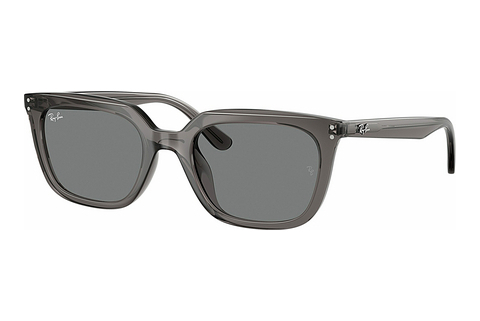 Γυαλιά ηλίου Ray-Ban RB4439D 667587