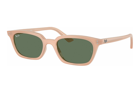 Γυαλιά ηλίου Ray-Ban ZAYA (RB4456 681182)