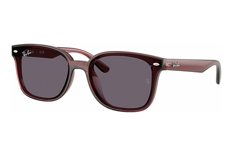 Γυαλιά ηλίου Ray-Ban RB4461D 659373