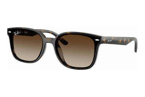 Γυαλιά ηλίου Ray-Ban RB4461D 710/13