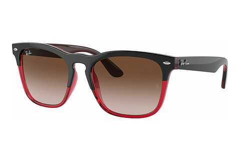 Γυαλιά ηλίου Ray-Ban STEVE (RB4487 663113)