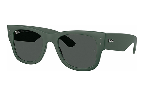 Γυαλιά ηλίου Ray-Ban RB4840S 665787