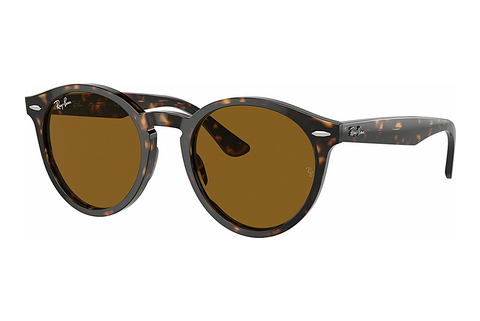 Γυαλιά ηλίου Ray-Ban LARRY (RB7680S 902/33)