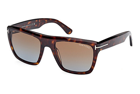 Γυαλιά ηλίου Tom Ford Alberto (FT1077 52F)