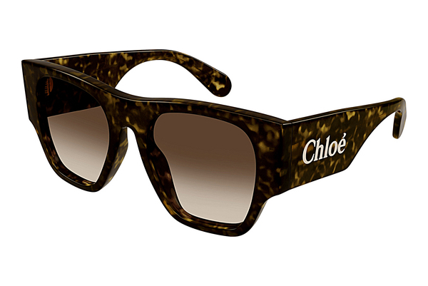 Γυαλιά ηλίου Chloé CH0233S 002